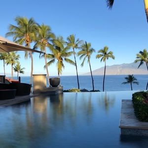 Meet your Posher, Peter